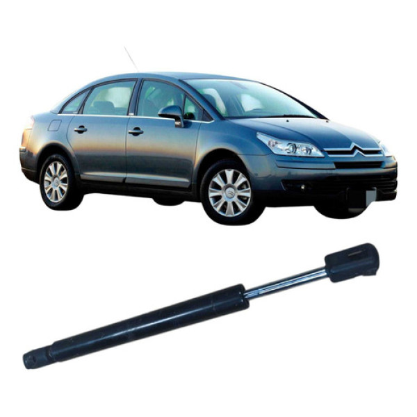 Amortecedor Tampa Traseira Citroen C4 Pallas 2008 1151050600