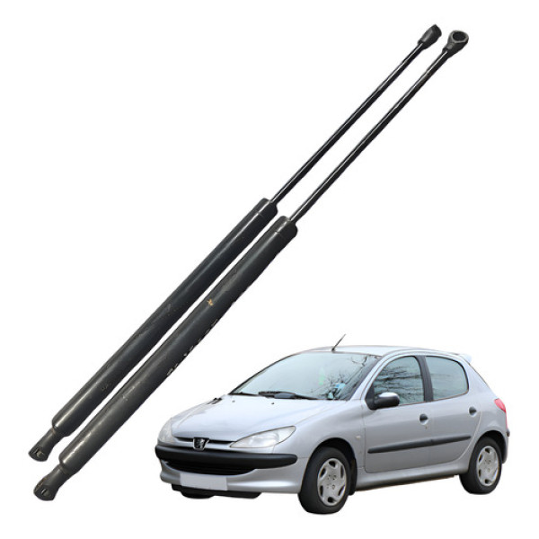 Par Amortecedor Porta Malas Para Peugeot 206 1998 A 2009 .