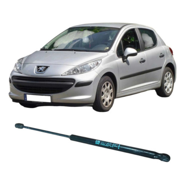 Amortecedor Tampa Traseira Peugeot 207 2009 1.4 Original