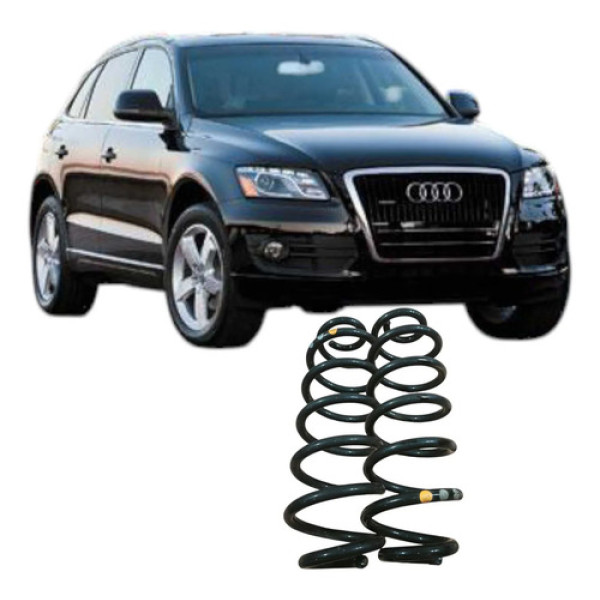 Par Mola Dianteira Audi Q5 2012 2.0 Original