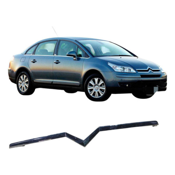 Friso Inferior Dianteiro Citroen C4 2.0 2008 2009 20100620 Preto