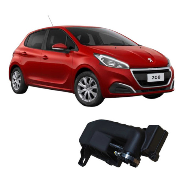 Tampa Caixa Filtro De Ar Peugeot 208 2019