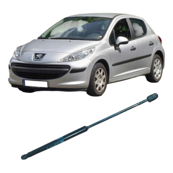 Amortecedor Tampa Traseira Peugeot 207 2009 1.4 Original