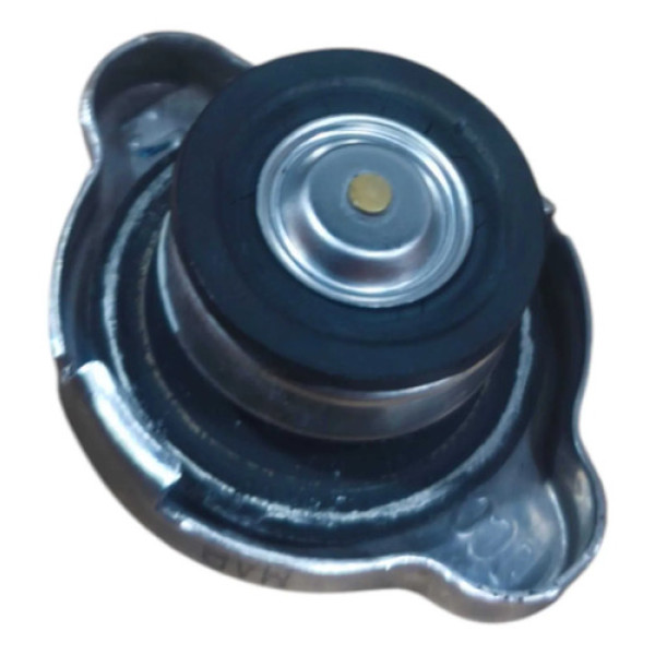 Tampa Radiador Hyundai Hb20 1.0 3c 2017 92829118 Original