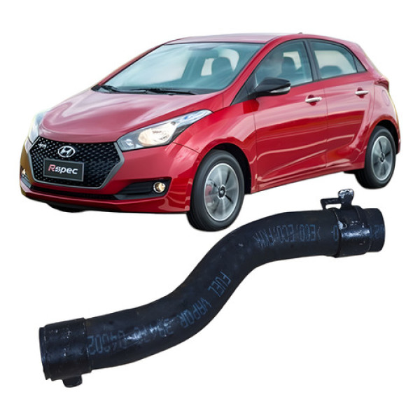 Mangueira Flauta Combustível Hb20 1.0 3c 2017 3947004302