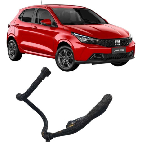 Mangueira Do Motor Fiat Argo 2018-2023 391010