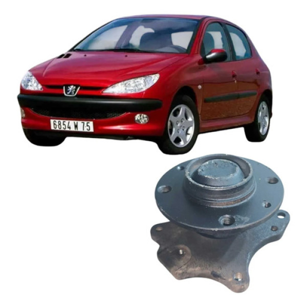 Cubo Roda Traseira Esquerda Peugeot 206 1.4 2006 Original