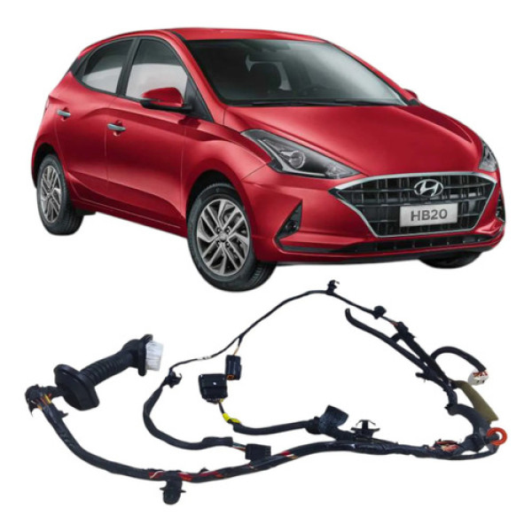 Chicote Completo Porta Dianteira Direita Hyundai Hb20 2021