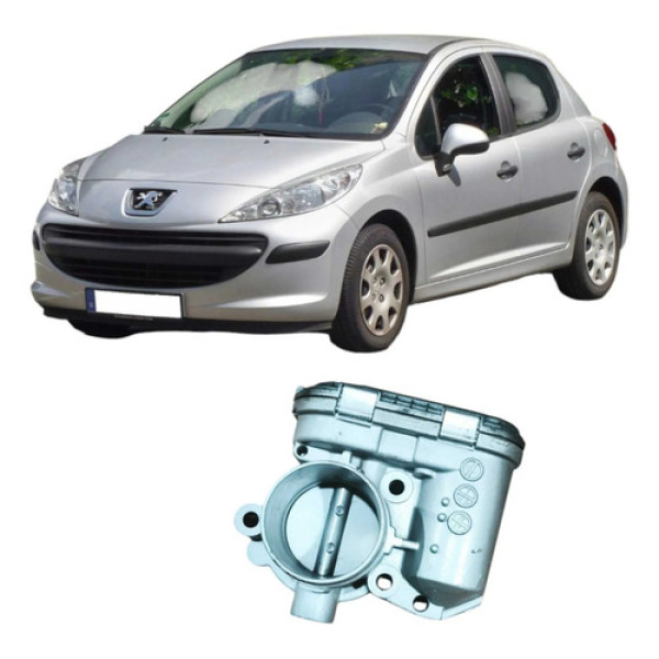 Tbi Injeção Peugeot 207 206 2009 1.4 Original 