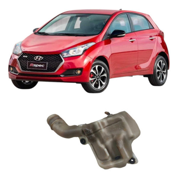 Reservatório Partida Fria Hyundai Hb20 2017 317001s000
