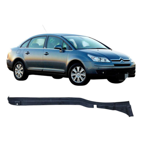 Moldura Porta Dianteira Esquerda Citroen C4 2009 96472514 Preto
